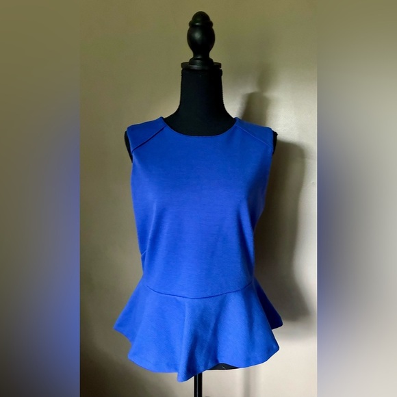 W118 by Walter Baker Mark Top Blue Indigo Peplum Sleeveless Zip-Up Back Sz M NWT - Picture 7 of 16